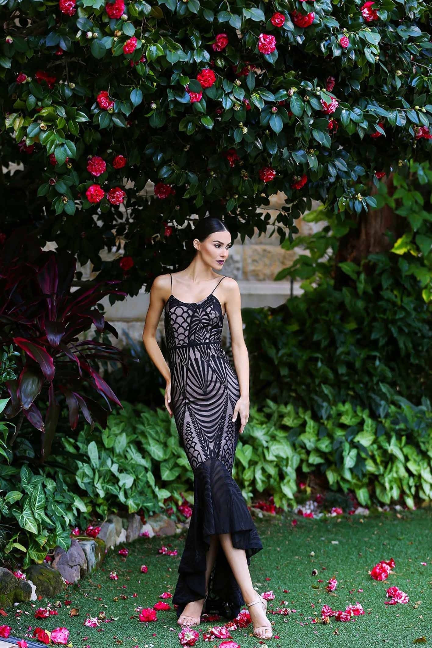 Dress size 8 pictures of a plant Dress size 8 pictures of a plant